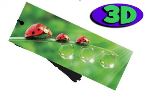 Ladybird moving hologram - 3d,