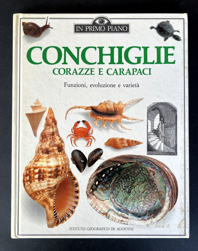 Libro conchiglie corazze - corazze, e