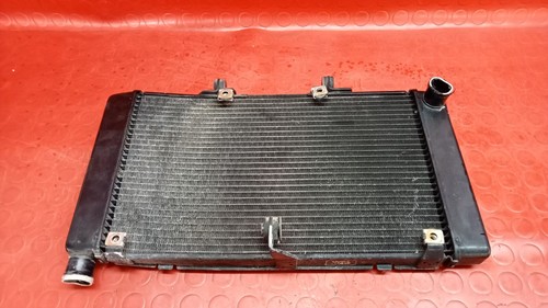 Radiatore acqua honda hornet - acqua,