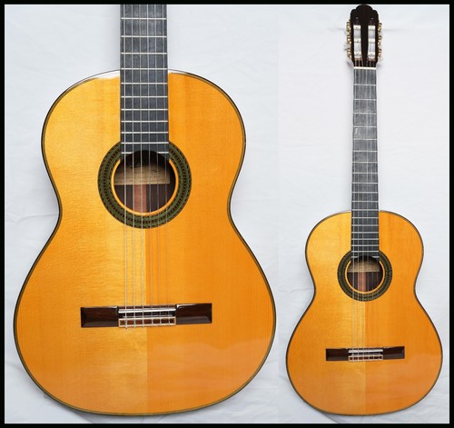 Aria 100s chitarra - a-100s,