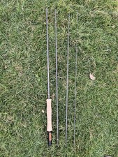 Scott Radian 9ft 5wt 4 pezzi