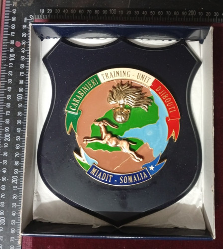 Crest carabinieri training - carabinieri,