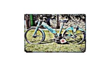 Cerbiatto Mosquito Motorbike