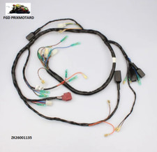 KAWASAKI Z900 A4 1976 FASCIO