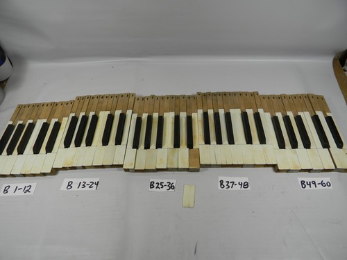 1890 chiavi per organo - ?,