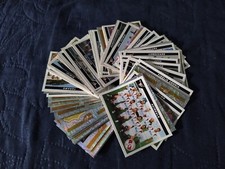 2004-2005 Serie C Squadra