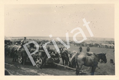 Foto wehrmacht punto di - wk,