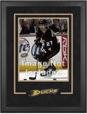 Ducks Deluxe 16x20 Vertical