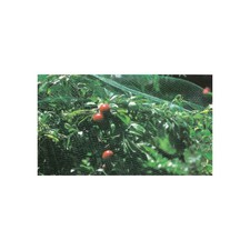 RETE DI PROTEZIONE ANTIUCCELLI