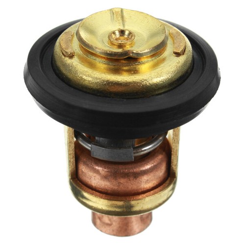 Termostato motore barca adatto