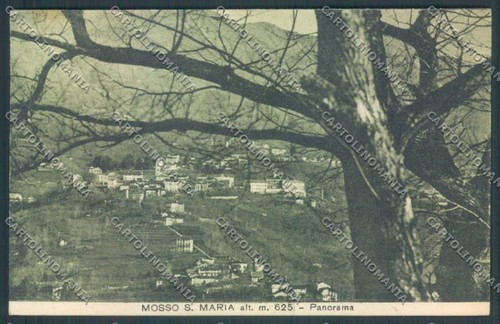 Biella mosso santa maria - mosso,
