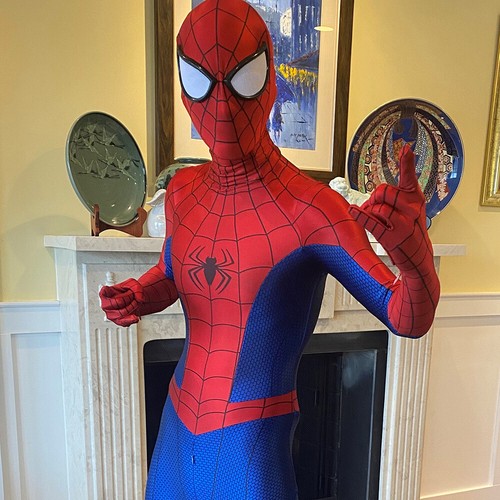 Nuovo ps4 spider - ps4, spider-man