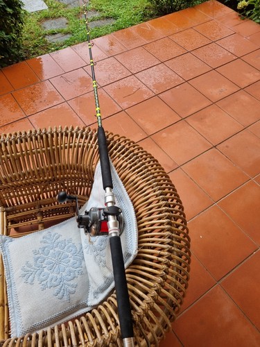 Canna pesca traina okuna - canna,