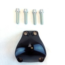 Cannondale Slice RS piastra