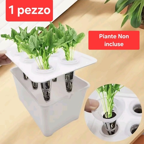Set coltivazione idroponica - coltivazione,
