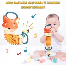 Fisarmonica a Forma di Volpe