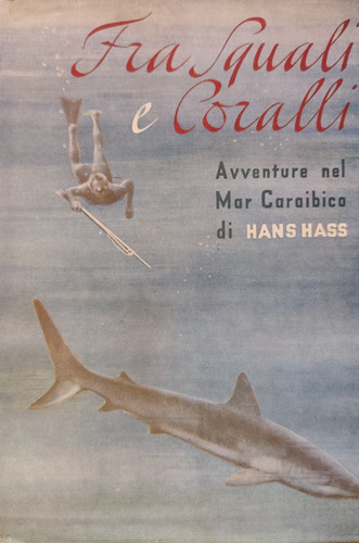 Fra squali coralli avventure - e,