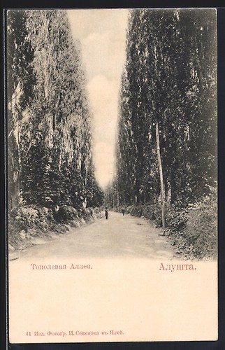 Alushta viale topol con - viale,