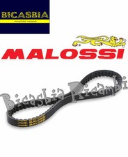 12100 cinghia variatore - -,