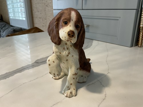 Lenox inglese springer spaniel - lenox,