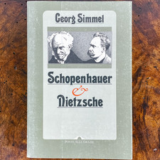 Georg Simmel - Schopenhauer e