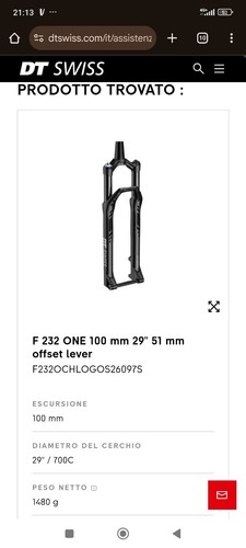 Forcella dtswiss 232 one 29 - forcella,