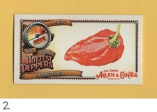 2018 Topps Allen & Ginter Mini