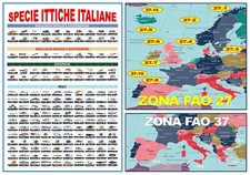 POSTER PESCHERIA"MAPPA ZONE