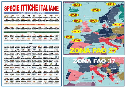 Poster pescheria mappa zone - poster,
