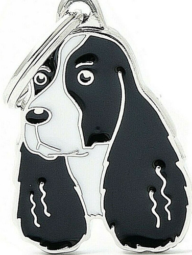 Etichetta cane springer - id,