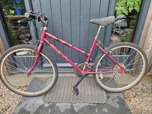 Mountain bike vintage - , raleigh
