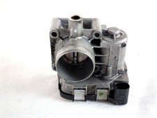 55250461 butterfly body - butterfly,