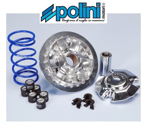 Polini 241 729 - 241.729, variatore