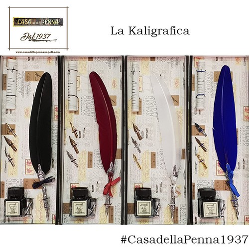 Penna stilografica con - piuma, e