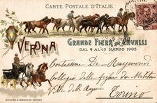 VERONA - 1903, Fiera di Cavalli - Commemorativa - VG - PU362