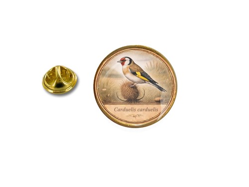 Spilla pin badge rotonda - pin,