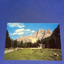 DOLOMITI VAL FIORENTINA BAITA FLORA ALPINA - CARTOLINA - A COLORI