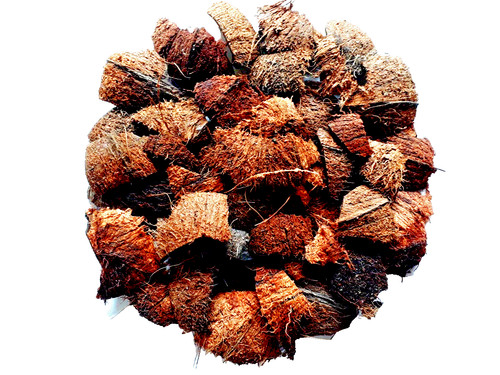 Chips guscio cocco 100 - guscio, cocco,