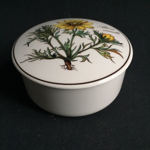 Villeroy boch botanica - villeroy, &