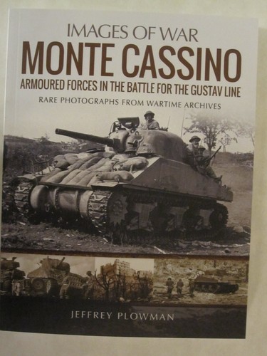 Monte cassino amoured forces - cassino,