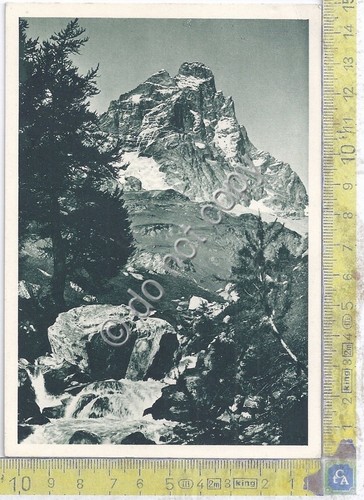 Cartolina postcard monte - cartolina,
