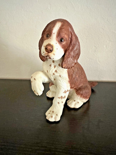 Lenox cucciolo inglese - cucciolo,