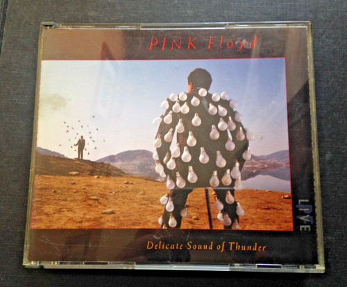 Pink floyd delicate sound - sound, of