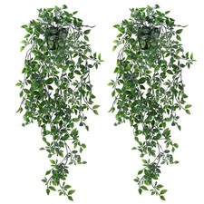 Patimate 2 Pezzi Edera Finta