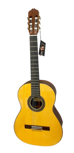 Chitarra classica raimundo - chitarra,