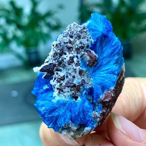 Cavansite spumante 32g alta - cavansite,