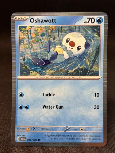 Oshawott - (poster, collection)
