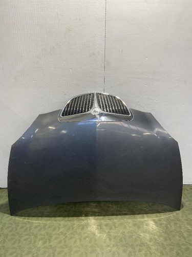 51872629 cofano lancia ypsilon - cofano,