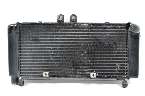 Radiatore acqua radiator - radiatore,