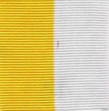 N045 Nastrino medaglia di